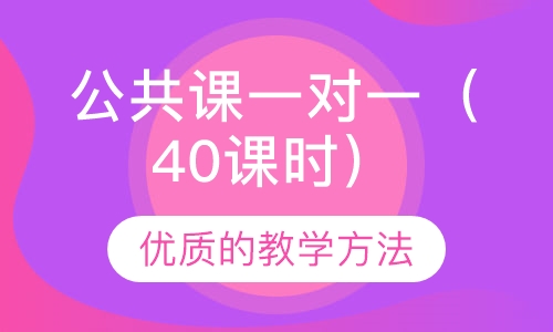 考研公共课一对一标准辅导（40课时）