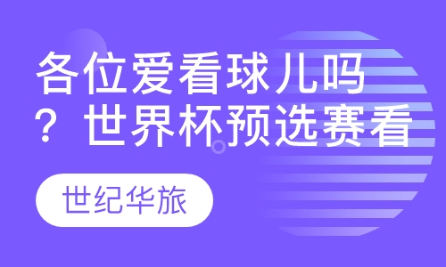 各位爱看球儿吗？世界杯预选赛看了没？
