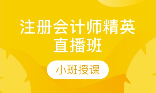 注册会计师精英直播班