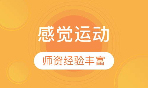 感觉运动统合课