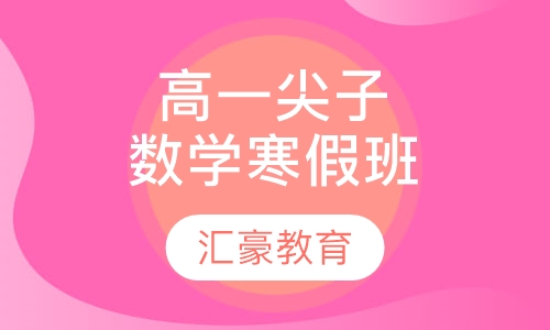 高一尖子数学寒假班
