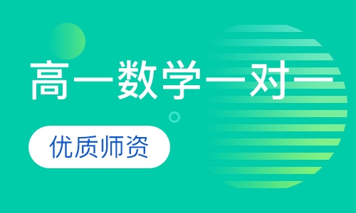 高一数学一对一辅导班