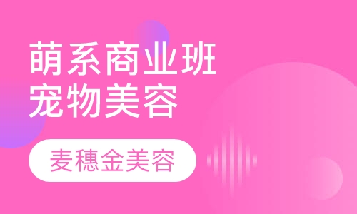 宠物萌系商业班