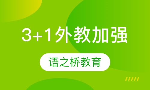 3 +1 外教加强班