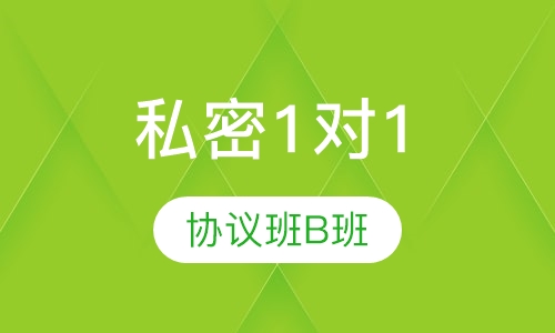 私密1对1VIP协议班 B班