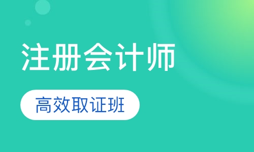 注册会计师高效取证班