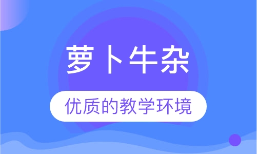 萝卜牛杂