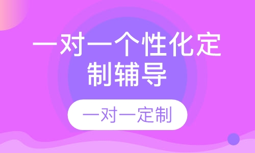 一对一个性化定制辅导