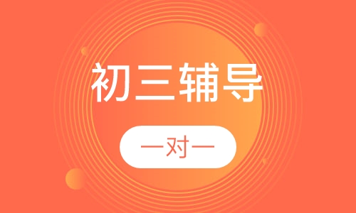 初三各科1对1