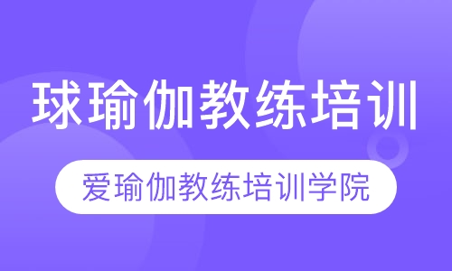 球瑜伽教练培训