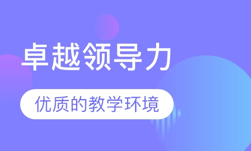 卓越领导力