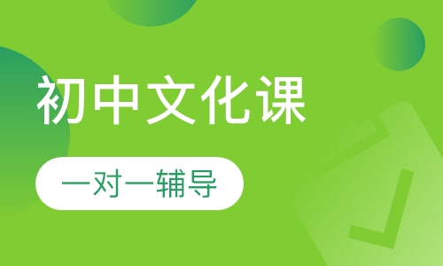 初中文化课一对一辅导
