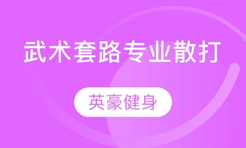 成都专业武术套路、散打培训