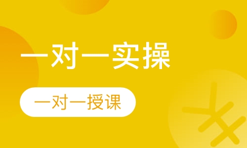 天地一对一实操班