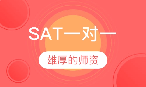 SAT一对一