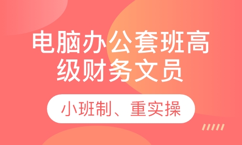 电脑办公套班高级财务文员班