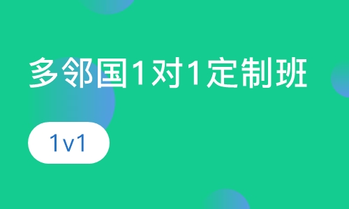 多邻国1对1定制班