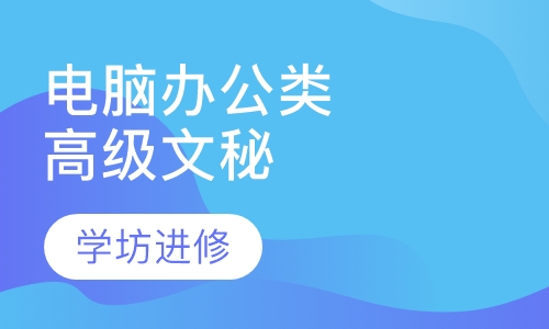 电脑办公类高级文秘