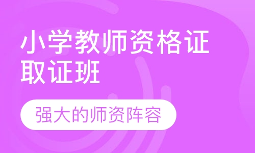 小学教师资格证取证班