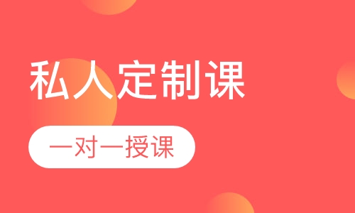 一对一VIP私人定制课
