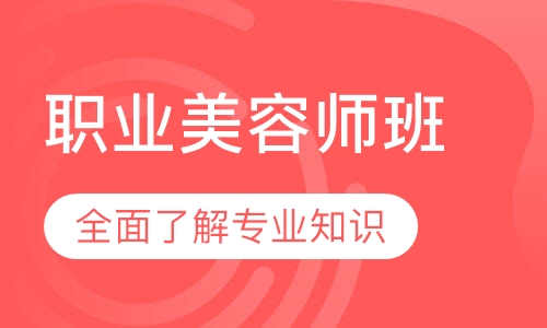 职业师班