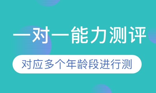 一对一能力测评