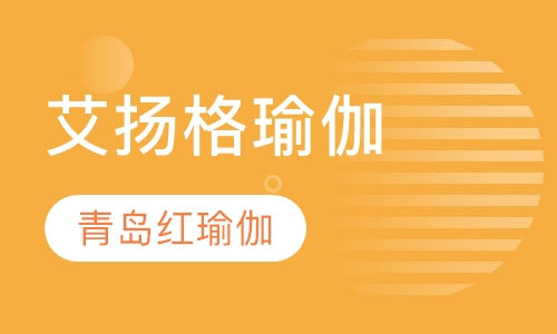 瑜伽培训艾扬格瑜伽