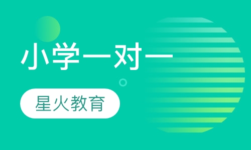 小学一对一