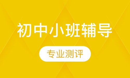 初中小班辅导