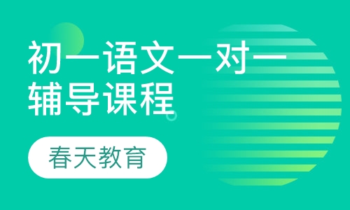 初一语文一对一辅导课程