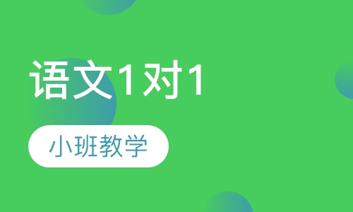 小学语文1对1