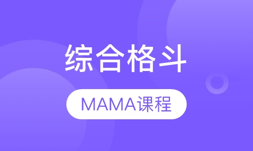 MMA综合格斗课程