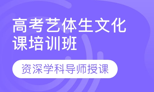 2021年高考艺体生文化课培训班