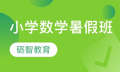 小学数学暑假班