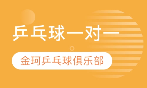 乒乓球一对一