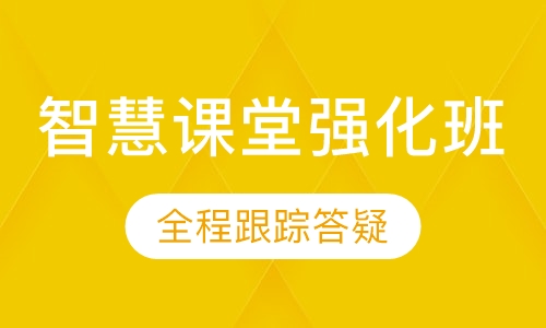 智慧课堂强化班