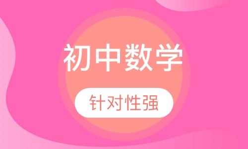 2020年初中数学vip辅导班