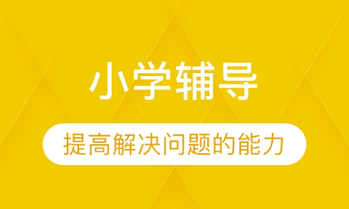 小学辅导培训