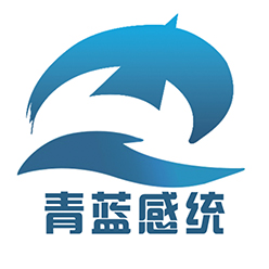 青蓝感统