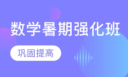 数学暑期强化班
