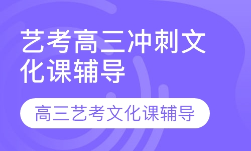 艺考高三冲刺文化课辅导