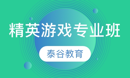 精英游戏专业班