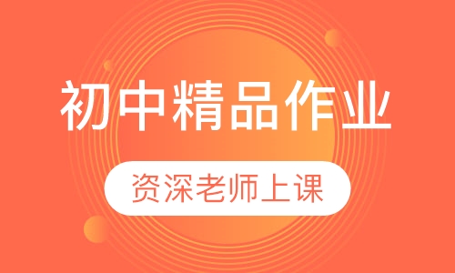 初中精品作业