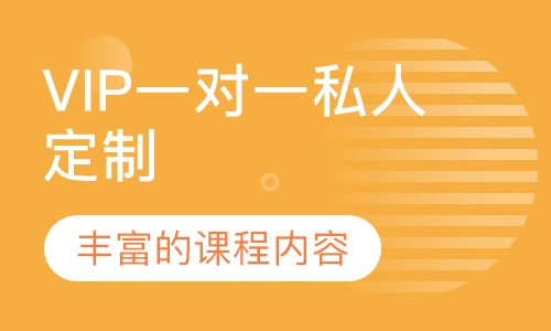 VIP一对一私人定制