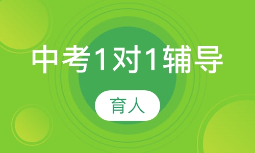中考1对1辅导