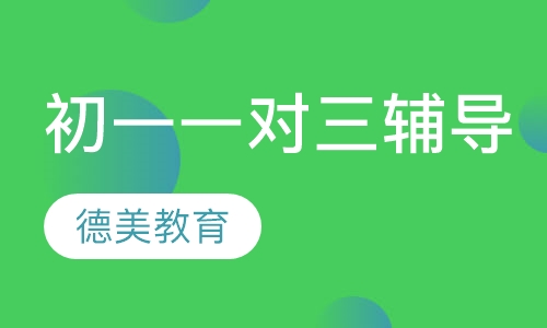 初一一对三辅导