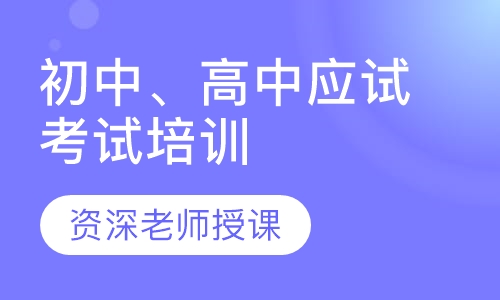 初中、高中应试考试培训
