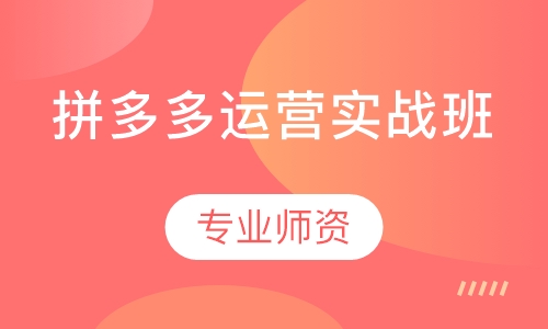 拼多多运营实战班