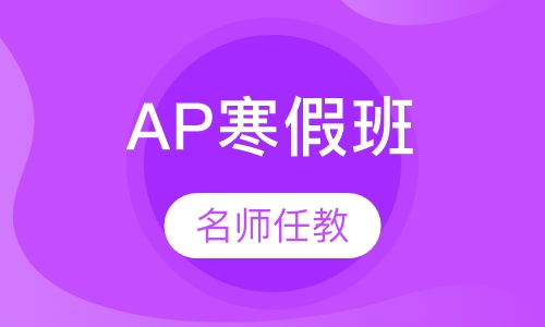 AP寒假课程