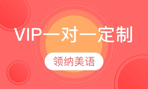 VIP一对一定制